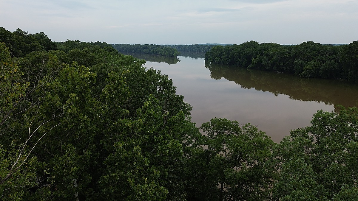 Aerial view of the Potomac River through Virginia forest canopy